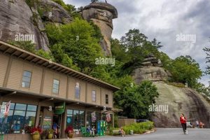 Discover Chimney Rock Gifts: Souvenirs & More! | Chimney Works – Expert Chimney Repair, Cleaning & Installation Services