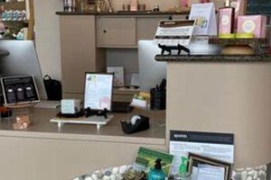 Spavia Chimney Rock Reviews: [Spa Experience] + Tips | Chimney Works – Expert Chimney Repair, Cleaning & Installation Services