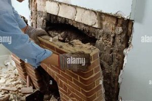 Cost-Effective Fireplace & Chimney Removal: Guide & Tips Chimney Works – Expert Chimney Repair, Cleaning & Installation Services Cost-Effective Fireplace & Chimney Removal: Guide & Tips | Chimney Works – Expert Chimney Repair, Cleaning & Installation Services