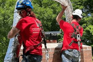 Ultimate Chimney Savers Guide: Protection & Longevity | Chimney Works – Expert Chimney Repair, Cleaning & Installation Services