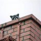 Chimney Animal Removal: Fast & Humane Solutions! | Chimney Works – Expert Chimney Repair, Cleaning & Installation Services