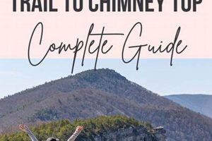 Hike North Fork Mountain Trail to Chimney Top: A Scenic Peak Chimney Works – Expert Chimney Repair, Cleaning & Installation Services Hike North Fork Mountain Trail to Chimney Top: A Scenic Peak | Chimney Works – Expert Chimney Repair, Cleaning & Installation Services