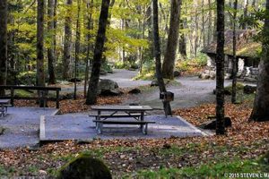 Visit Chimneys Picnic Area Gatlinburg, TN: A Smoky Mountain Gem | Chimney Works – Expert Chimney Repair, Cleaning & Installation Services