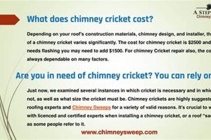Understanding Chimney Cricket Cost: Factors & Savings | Chimney Works – Expert Chimney Repair, Cleaning & Installation Services