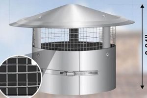 Protect Your Chimney: 10 Inch Cap at Home Depot Today! | Chimney Works – Expert Chimney Repair, Cleaning & Installation Services