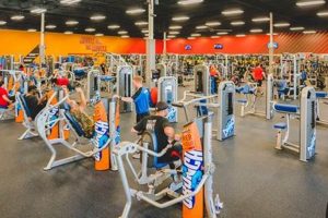 Your Local Crunch Fitness in Chimney Hill: Get Fit Now! | Chimney Works – Expert Chimney Repair, Cleaning & Installation Services
