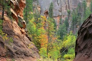 Oak Creek Chimneys: Preserving Your Home's Beauty | Chimney Works – Expert Chimney Repair, Cleaning & Installation Services