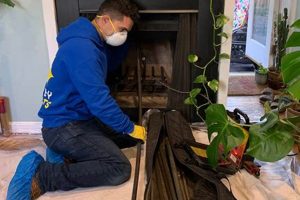 Why Every Home Needs a Chimney Scientist Expert | Chimney Works – Expert Chimney Repair, Cleaning & Installation Services