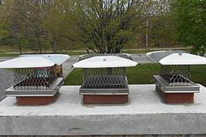 Grand Rapids Chimney Sweep: Expert Cleaning & Safety Chimney Works – Expert Chimney Repair, Cleaning & Installation Services Grand Rapids Chimney Sweep: Expert Cleaning & Safety | Chimney Works – Expert Chimney Repair, Cleaning & Installation Services