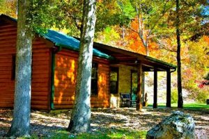 Discover Chimney Rock Hollow: A Natural Wonder | Chimney Works – Expert Chimney Repair, Cleaning & Installation Services