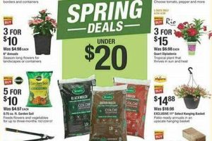 Your Chimney Rock Home Depot: Find it All Here! | Chimney Works – Expert Chimney Repair, Cleaning & Installation Services