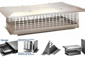 Ultimate Forever Cap Chimney: Durable Chimney Protection | Chimney Works – Expert Chimney Repair, Cleaning & Installation Services