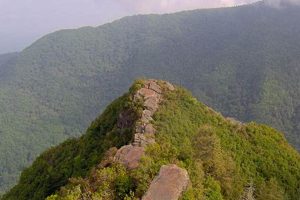 Explore Chimney Tops, Tennessee: Hiking &amp; Views | Chimney Works – Expert Chimney Repair, Cleaning & Installation Services