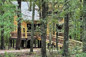 Explore Chimney Park: History & Nature's Embrace | Chimney Works – Expert Chimney Repair, Cleaning & Installation Services