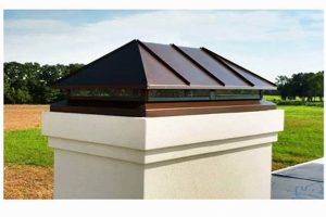 Protect Your Home: Gas Chimney Cap Installation & Benefits Chimney Works – Expert Chimney Repair, Cleaning & Installation Services Protect Your Home: Gas Chimney Cap Installation & Benefits | Chimney Works – Expert Chimney Repair, Cleaning & Installation Services