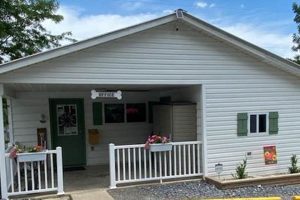 Animal Rest Near Chimney Rocks: Animal Rest Inc. Chimney Works – Expert Chimney Repair, Cleaning & Installation Services Animal Rest Near Chimney Rocks: Animal Rest Inc. | Chimney Works – Expert Chimney Repair, Cleaning & Installation Services