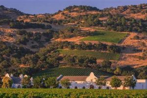 Discover Chimney Rock Winery: Napa Valley's Gem | Chimney Works – Expert Chimney Repair, Cleaning & Installation Services