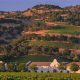 Discover Chimney Rock Winery: Napa Valley's Gem | Chimney Works – Expert Chimney Repair, Cleaning & Installation Services