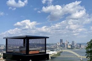 Top Pittsburgh Chimney Sweep Pros Near You | Chimney Works – Expert Chimney Repair, Cleaning & Installation Services