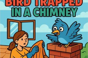 Bird in Chimney: Quick Rescue Tips + Prevention | Chimney Works – Expert Chimney Repair, Cleaning & Installation Services