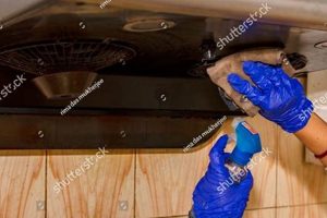 Gentle Touch Friendly Hands Chimney Cleaning: Safe &amp; Sound | Chimney Works – Expert Chimney Repair, Cleaning & Installation Services