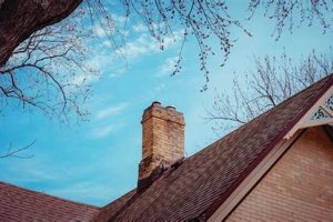 Wasp Nest in Chimney: Removal & Prevention Tips! Chimney Works – Expert Chimney Repair, Cleaning & Installation Services Wasp Nest in Chimney: Removal & Prevention Tips! | Chimney Works – Expert Chimney Repair, Cleaning & Installation Services