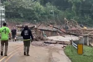 Guide to Lake Lure Chimney Rock Flooding Risks & Safety Chimney Works – Expert Chimney Repair, Cleaning & Installation Services Guide to Lake Lure Chimney Rock Flooding Risks & Safety | Chimney Works – Expert Chimney Repair, Cleaning & Installation Services