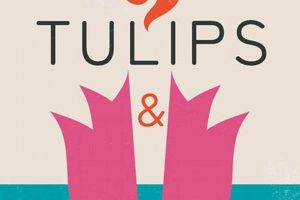 Beauty Amidst Industry: Tulips and Chimneys Explained Chimney Works – Expert Chimney Repair, Cleaning & Installation Services Beauty Amidst Industry: Tulips and Chimneys Explained | Chimney Works – Expert Chimney Repair, Cleaning & Installation Services