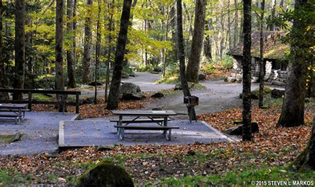 Your Chimneys Picnic Area Guide: Explore & Relax! | Chimney Works – Expert Chimney Repair, Cleaning & Installation Services