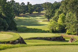 Play Premier The Chimneys Golf Course | [Location] | Chimney Works – Expert Chimney Repair, Cleaning & Installation Services