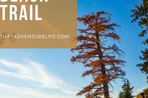 Hike the Best Chimney Beach Trail | Tahoe's Hidden Gem | Chimney Works – Expert Chimney Repair, Cleaning & Installation Services