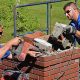 Local Chimney Mason: Expert Services & Repair | Chimney Works – Expert Chimney Repair, Cleaning & Installation Services