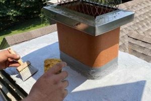 Best Chimney Cap Paint: Protect & Extend Your Chimney's Life! | Chimney Works – Expert Chimney Repair, Cleaning & Installation Services