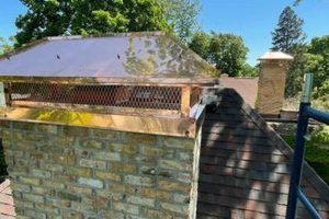 Reliable Expert Chimney Services Near You | Chimney Works – Expert Chimney Repair, Cleaning & Installation Services