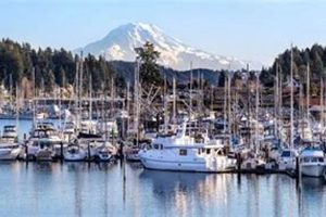 Gig Harbor Chimney Sweep Pros: Cleaning & Repair Near You! | Chimney Works – Expert Chimney Repair, Cleaning & Installation Services