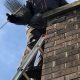 Champaign IL Chimney Sweep: Expert Chimney Cleaning & Inspection | Chimney Works – Expert Chimney Repair, Cleaning & Installation Services