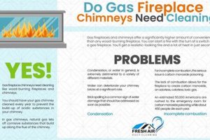 Do Gas Chimneys Need to Be Cleaned? Safety & Efficiency Chimney Works – Expert Chimney Repair, Cleaning & Installation Services Do Gas Chimneys Need to Be Cleaned? Safety & Efficiency | Chimney Works – Expert Chimney Repair, Cleaning & Installation Services