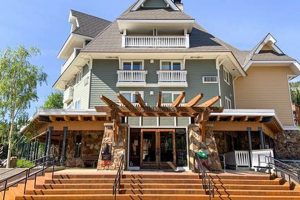 Best Chimney Rock Grill: Reviews & Buying Guide [Year] | Chimney Works – Expert Chimney Repair, Cleaning & Installation Services