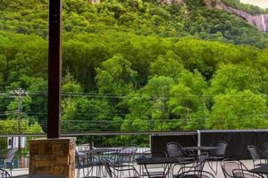 Discover Burntshirt Vineyard: Chimney Rock Wines & Views | Chimney Works – Expert Chimney Repair, Cleaning & Installation Services