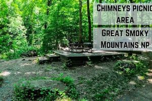 Discover Chimney Picnic Area Tennessee: Nature's Retreat | Chimney Works – Expert Chimney Repair, Cleaning & Installation Services