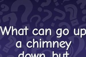 Prevent: What Can Go Up & Down Chimney? Risks | Chimney Works – Expert Chimney Repair, Cleaning & Installation Services