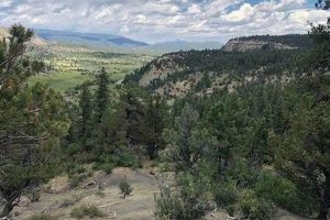 Own Near Chimney Rock: Land for Sale &amp; More! | Chimney Works – Expert Chimney Repair, Cleaning & Installation Services