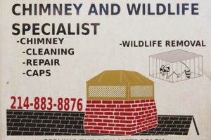 Local Chimney and Wildlife Specialists: Solutions &amp; More | Chimney Works – Expert Chimney Repair, Cleaning & Installation Services