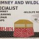 Local Chimney and Wildlife Specialists: Solutions &amp; More | Chimney Works – Expert Chimney Repair, Cleaning & Installation Services