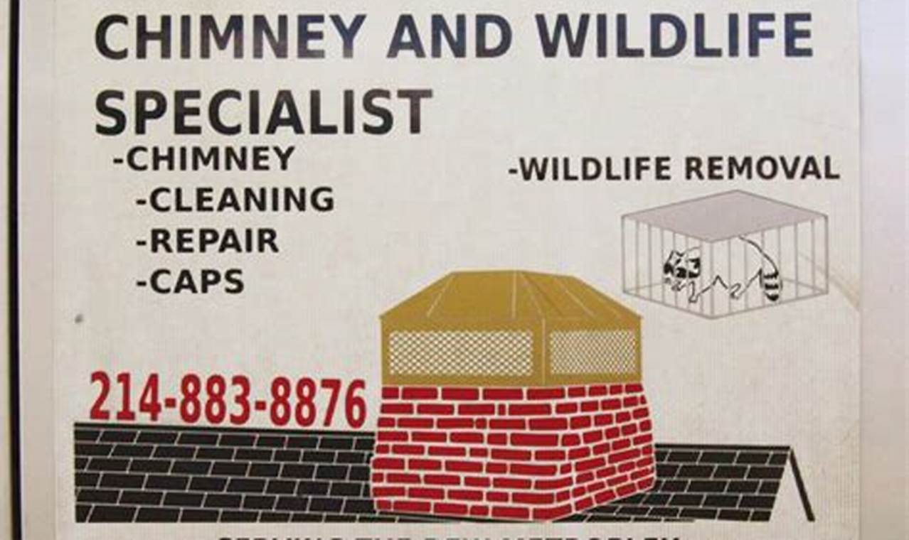 Local Chimney and Wildlife Specialists: Solutions &amp; More | Chimney Works – Expert Chimney Repair, Cleaning & Installation Services