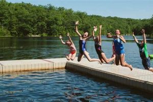 Discover Green Chimneys Summer Camp Programs & Benefits | Chimney Works – Expert Chimney Repair, Cleaning & Installation Services