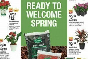 Chimney Rock: Home Depot's Stone Veneer [Styles & Tips] | Chimney Works – Expert Chimney Repair, Cleaning & Installation Services