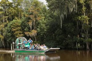 Local Chimney Sweep Chattanooga, TN: Experts Near You Chimney Works – Expert Chimney Repair, Cleaning & Installation Services Local Chimney Sweep Chattanooga, TN: Experts Near You | Chimney Works – Expert Chimney Repair, Cleaning & Installation Services