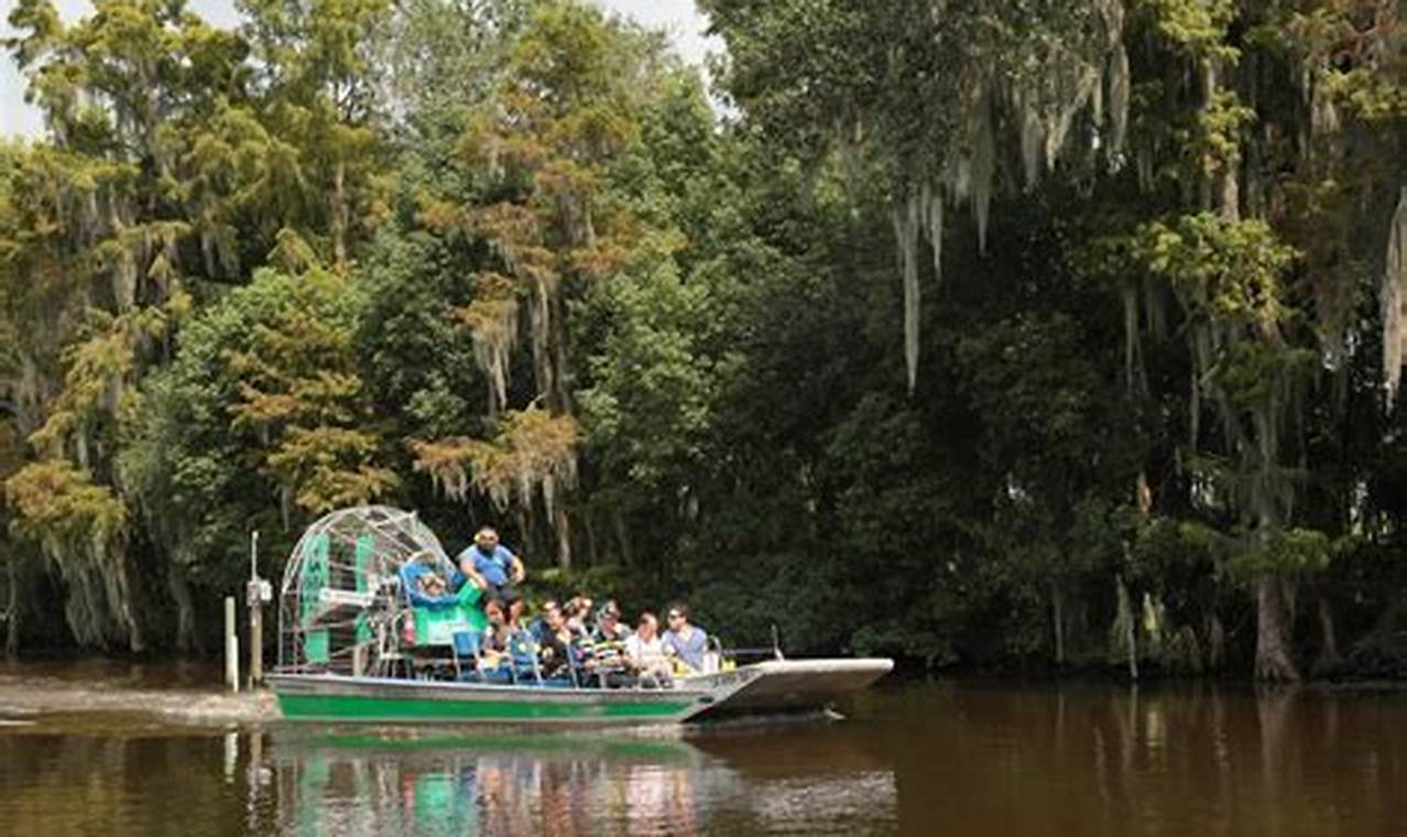 Local Chimney Sweep Chattanooga, TN: Experts Near You Chimney Works – Expert Chimney Repair, Cleaning & Installation Services Local Chimney Sweep Chattanooga, TN: Experts Near You | Chimney Works – Expert Chimney Repair, Cleaning & Installation Services