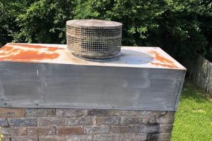 Brick Chimney Services: Repair &amp; Maintenance Near You | Chimney Works – Expert Chimney Repair, Cleaning & Installation Services